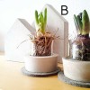 Farbe: Haus B Beton handmade