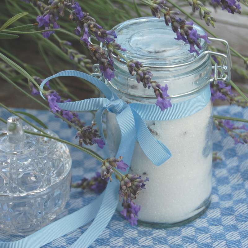 Vollbild Einmachglas gefüllt mit Lavendelzucker, dekoriert mit blauer Schleife und Lavendelblüten