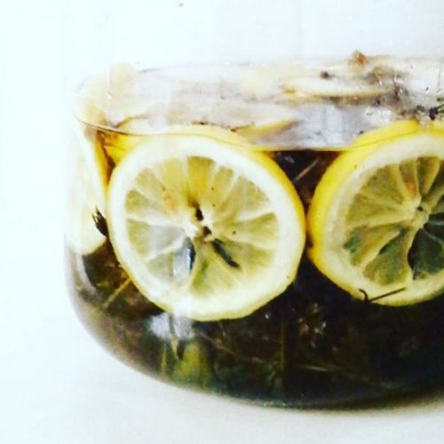 Sirup mit Waldmeister-Kräutern und Zitronenscheiben im Glas