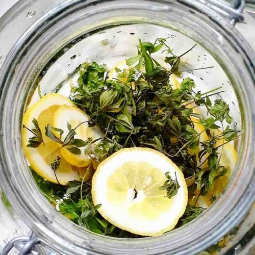 Zutaten für Waldmeistersirup - Kräuter und Zitrone - im Glas