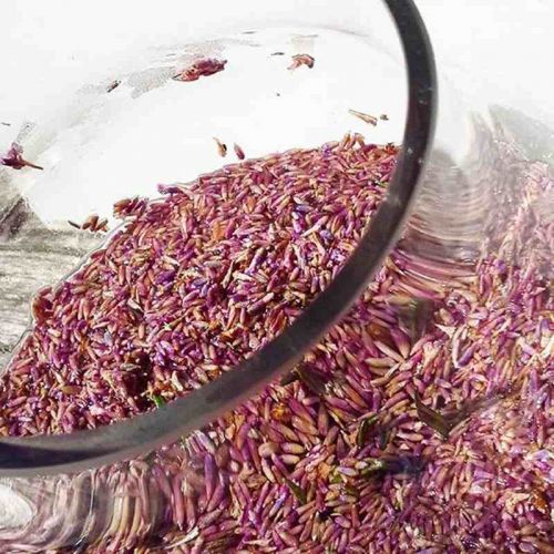 Blick ins Glas - Ansatz für Essigreiniger mit Lavendelblüten