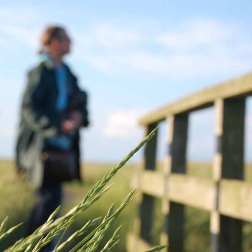 Gräser im Vordergrund scharf, im Hintergrund Mensch unscharf