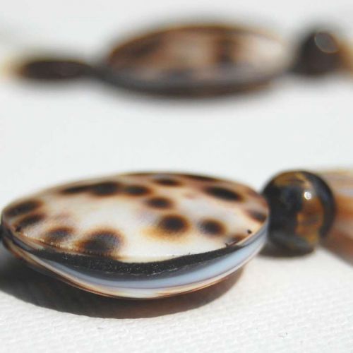 Detailaufnahme Tigermuschelscheibe, seitlich geöffnet