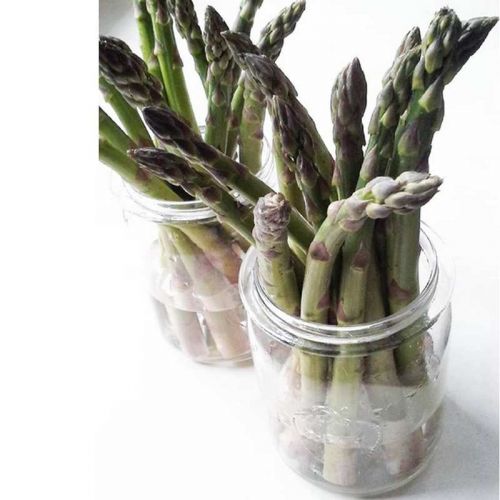 Grüner Spargel im Weckglas - so bleibt er länger frisch